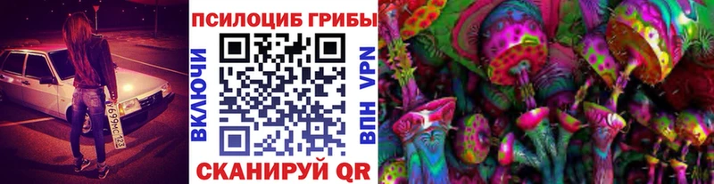 наркотики  Нестеров  Псилоцибиновые грибы MAGIC MUSHROOMS 
